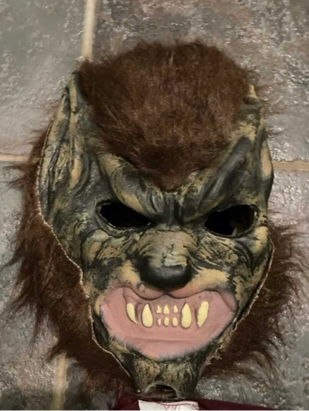 InCharacter Werewolf Costume. Five Piece Youth Size 8